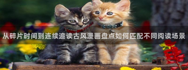 羞羞漫画最新地址入口