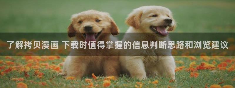 羞羞漫画热门连载:了解拷贝漫画 下载时值得掌握的信息判断思路和浏览建议